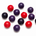 Brynild Knatter Forest Berries