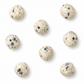 Cookies 'N Cream Bites