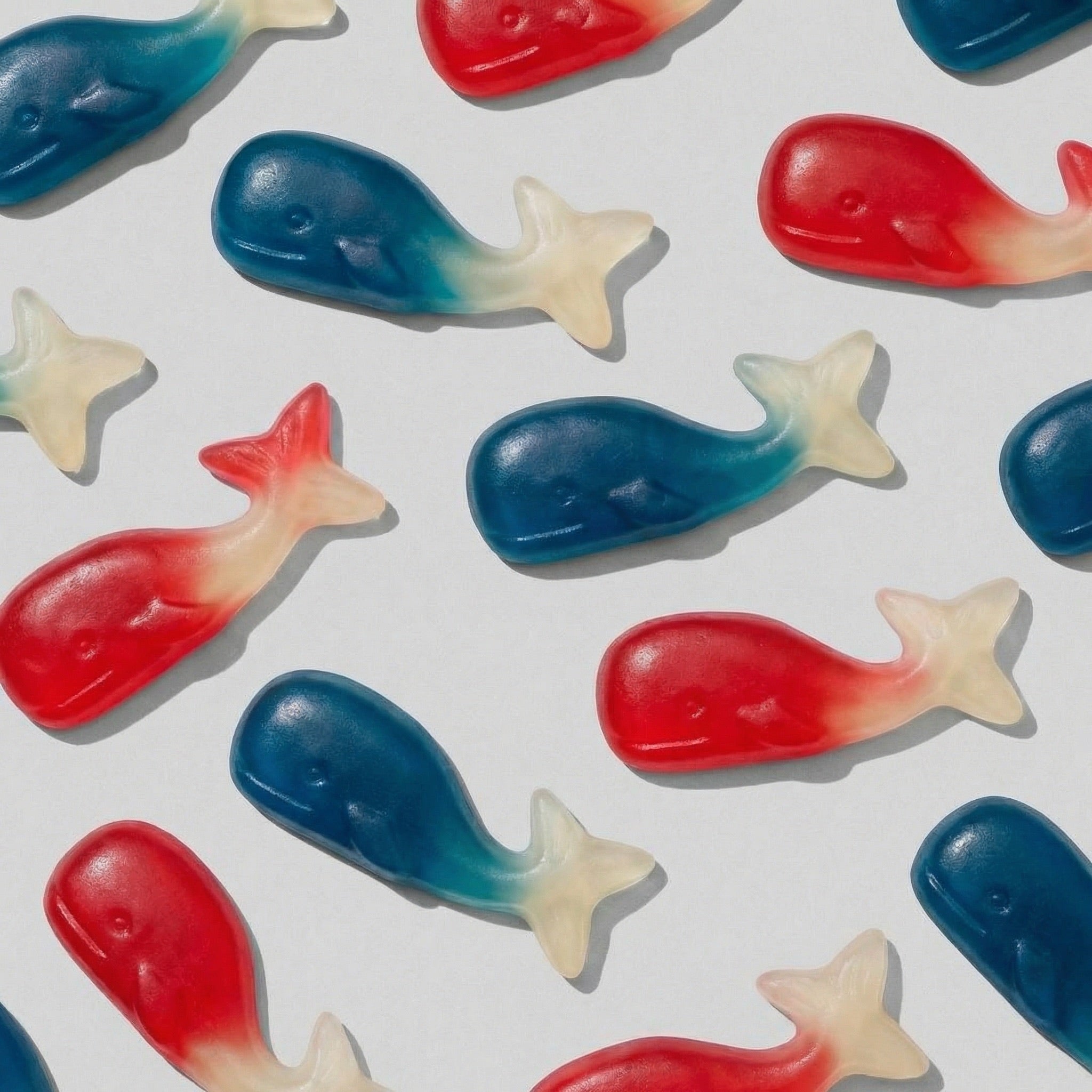 Jelly Filled Whales